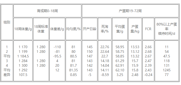 蛋鸡饲养中的经营新观念